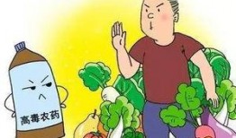 吃瓜爆料短剧吃瓜爆料大赛每日聚集地 2025十大热点社会现象,吃瓜爆料大赛盘点