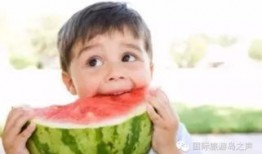 热门大瓜每日必吃大瓜合集 吃瓜爆料,揭秘娱乐圈最新爆料合集